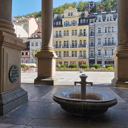 Ubytovani Ester - Utulny Byt V Lazenskem Centru Karlovych Varu Se Zahradkou Apartment Карлови Вари Екстериор снимка