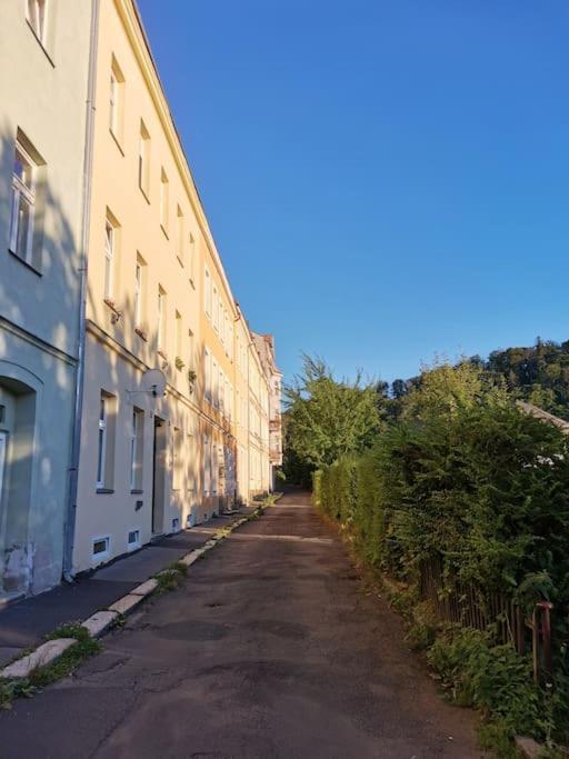 Ubytovani Ester - Utulny Byt V Lazenskem Centru Karlovych Varu Se Zahradkou Apartment Карлови Вари Екстериор снимка