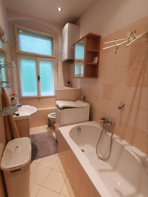 Ubytovani Ester - Utulny Byt V Lazenskem Centru Karlovych Varu Se Zahradkou Apartment Карлови Вари Екстериор снимка